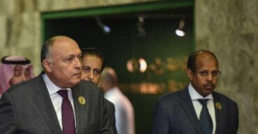 Organized Institutional Cooperation :How The Mechanism Of Political Consultation Affects Egyptian-Gulf Relations