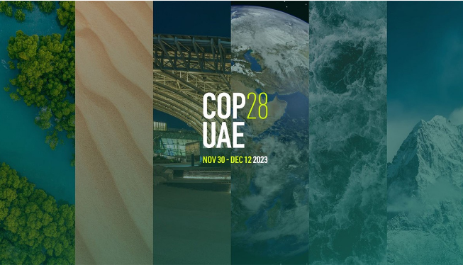 مكاسب ومخرجات إيجابية متعددة.. كيف استفادت القارة الأفريقية من Cop28؟